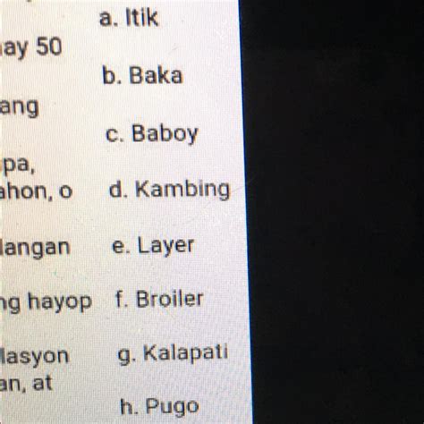 Hanay A Ang bakod nito ay yari sa kahoy, adobe, kawayan o iba .